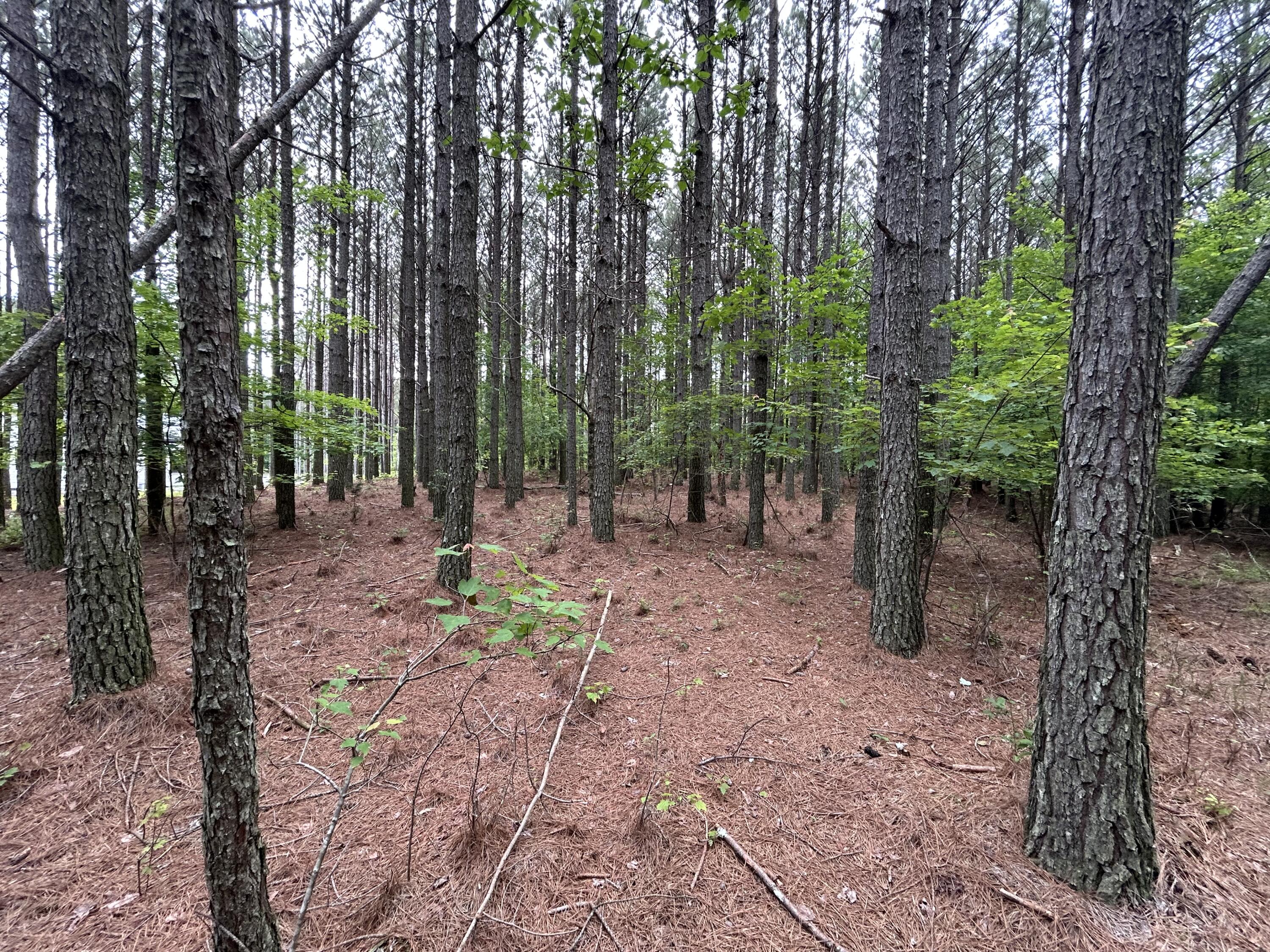 1771 Crockett Point #JF-604, Jasper, Tennessee image 15