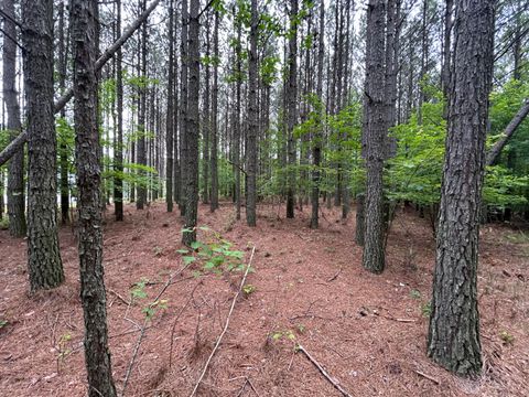 Tiny photo for 1771 Crockett Point, Jasper, TN 37347 (MLS # 1513111)