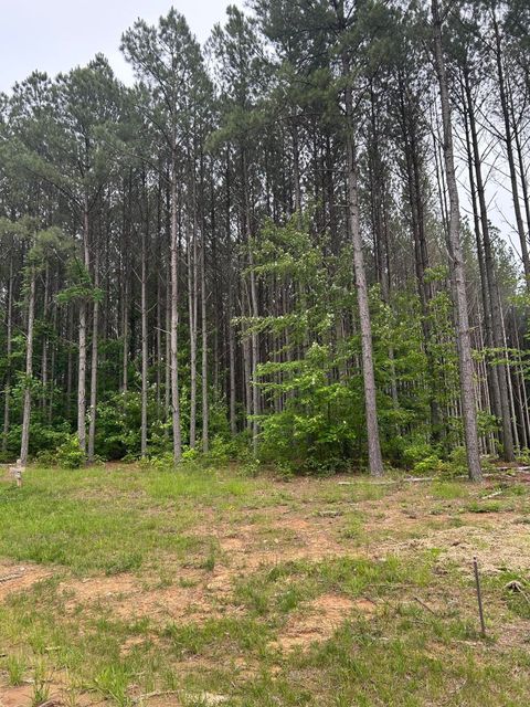 Tiny photo for 1771 Crockett Point, Jasper, TN 37347 (MLS # 1513111)