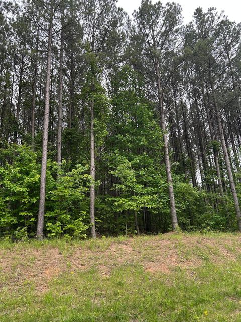 Tiny photo for 1771 Crockett Point, Jasper, TN 37347 (MLS # 1513111)