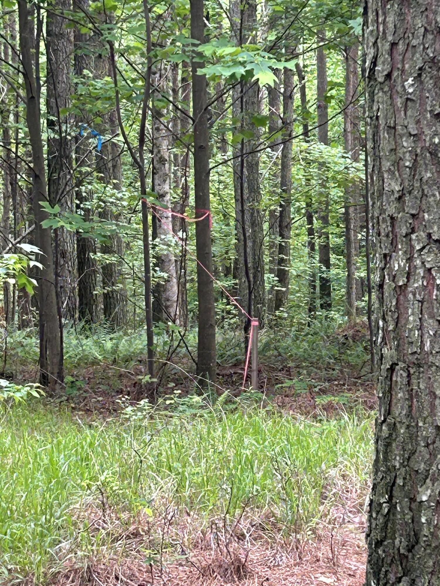 1771 Crockett Point #JF-604, Jasper, Tennessee image 18
