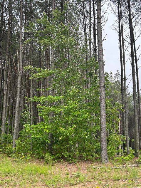 Tiny photo for 1771 Crockett Point, Jasper, TN 37347 (MLS # 1513111)