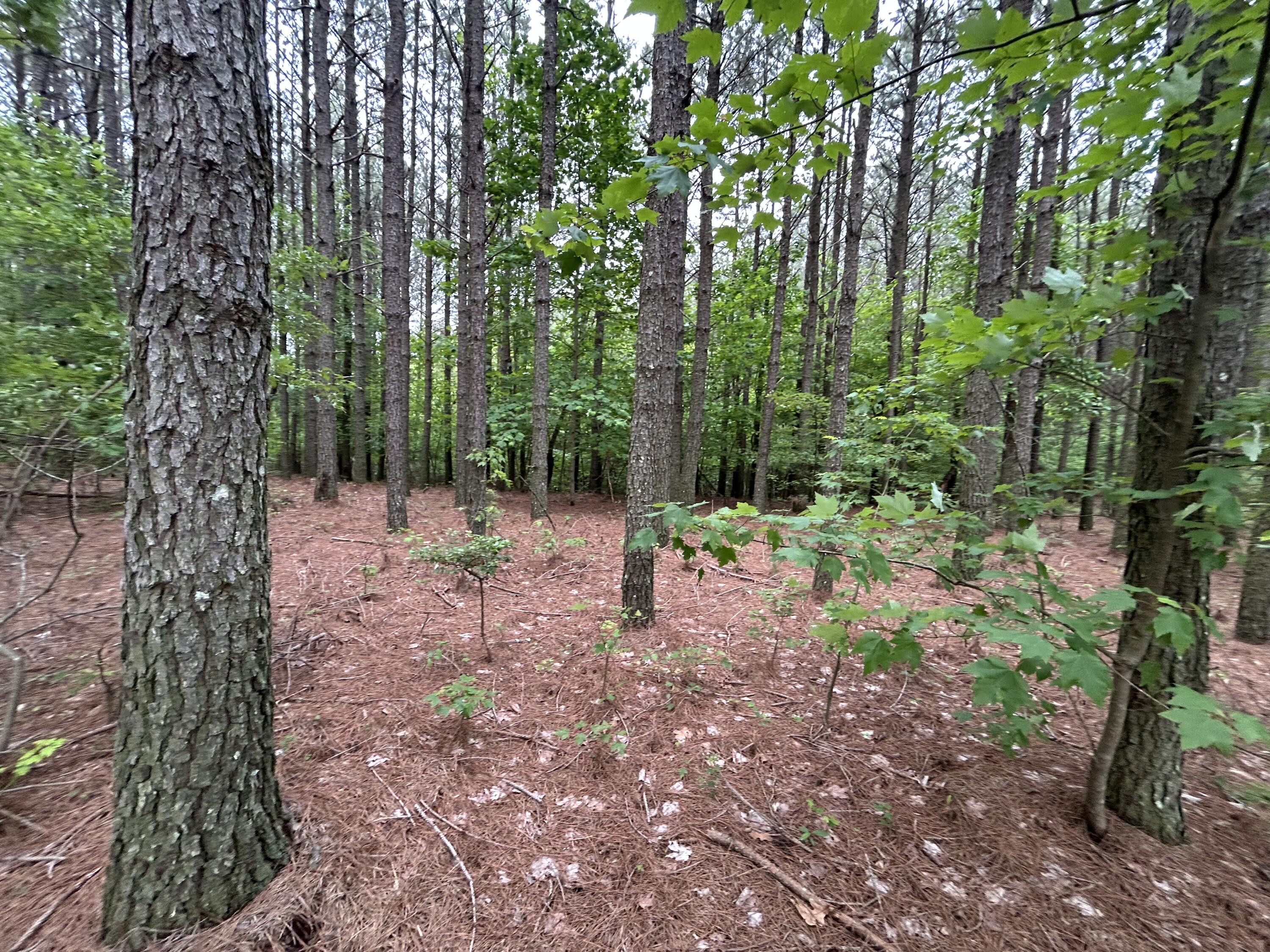 1771 Crockett Point #JF-604, Jasper, Tennessee image 11