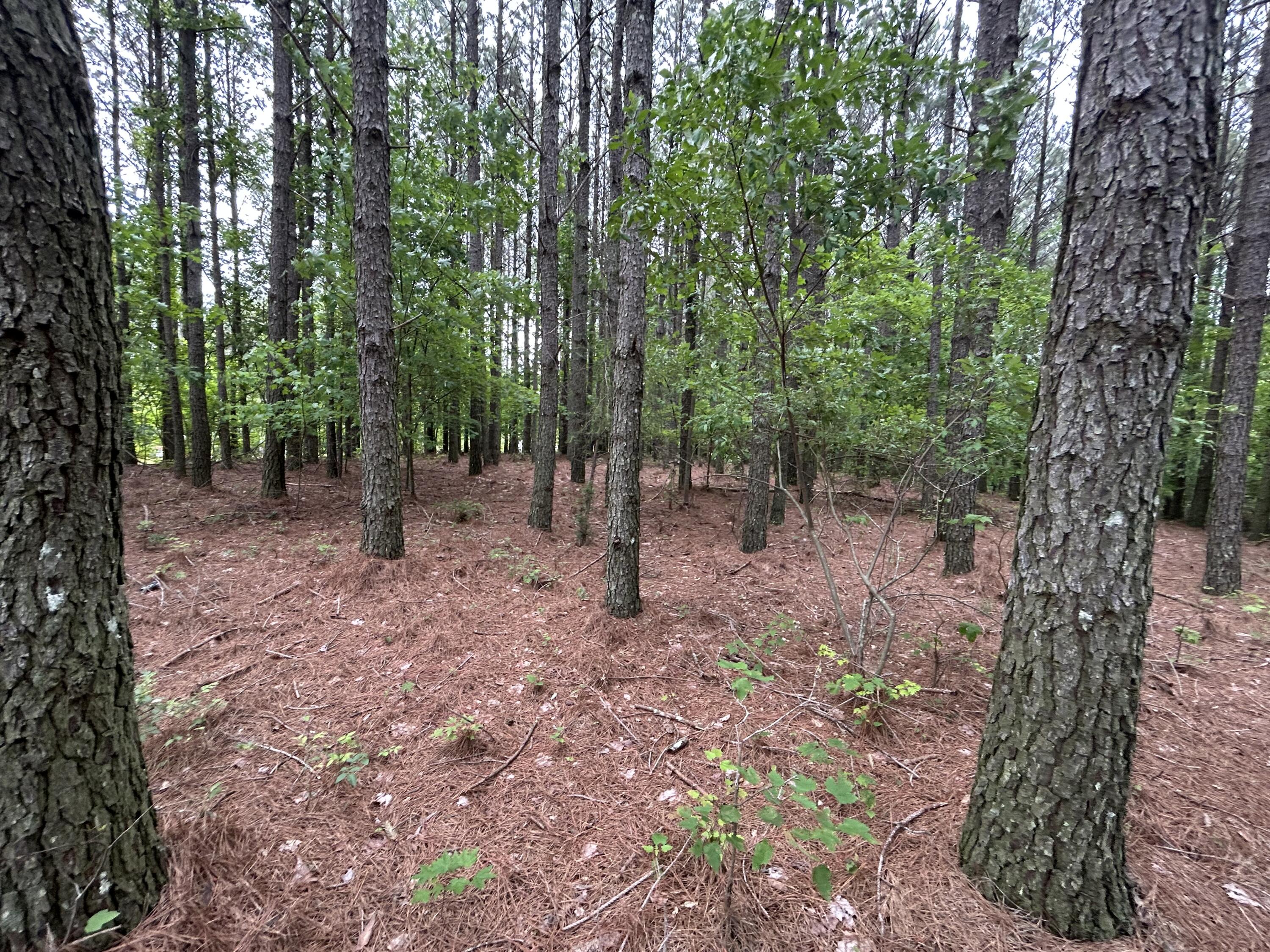 1771 Crockett Point #JF-604, Jasper, Tennessee image 13
