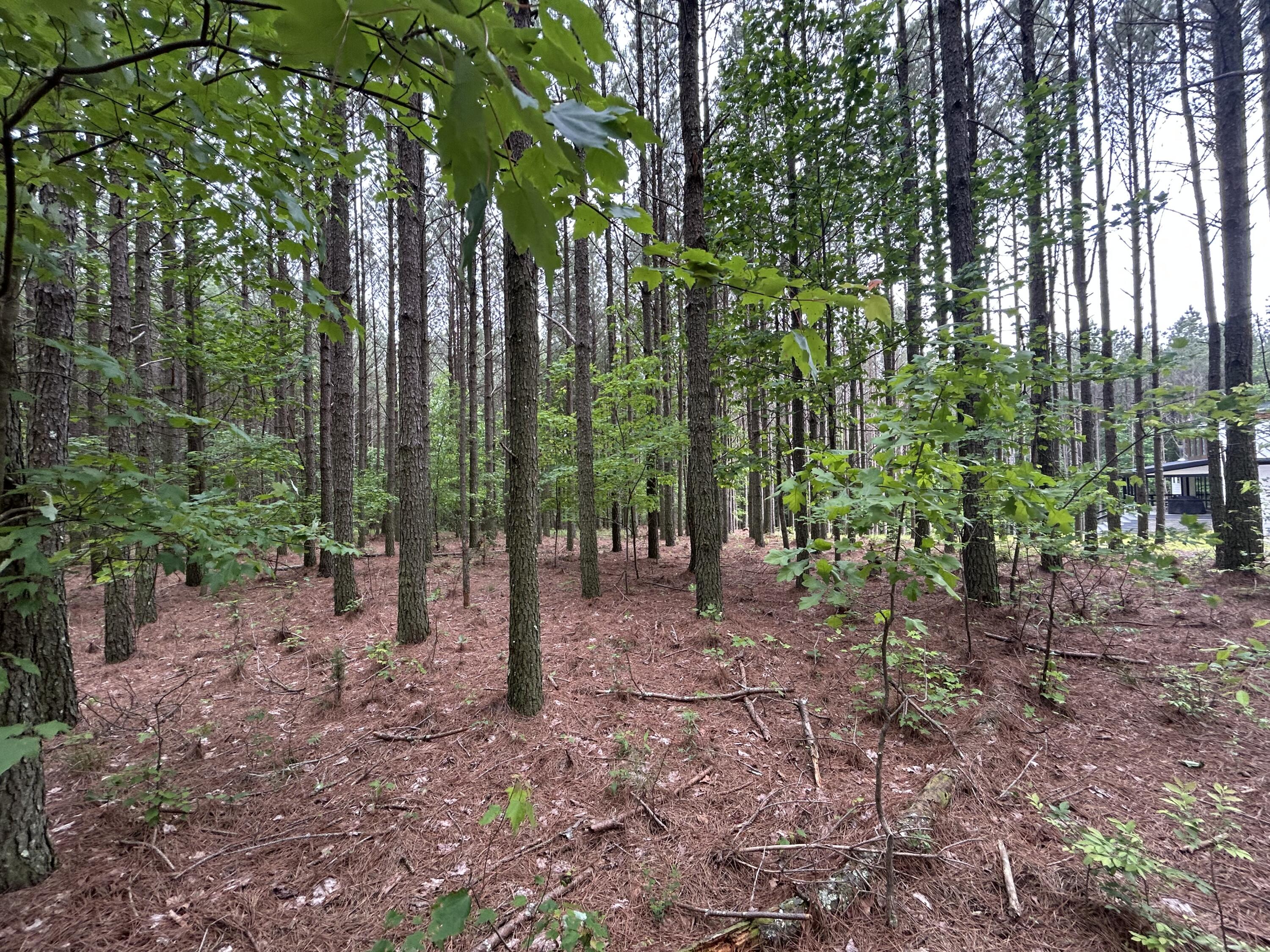 1771 Crockett Point #JF-604, Jasper, Tennessee image 12
