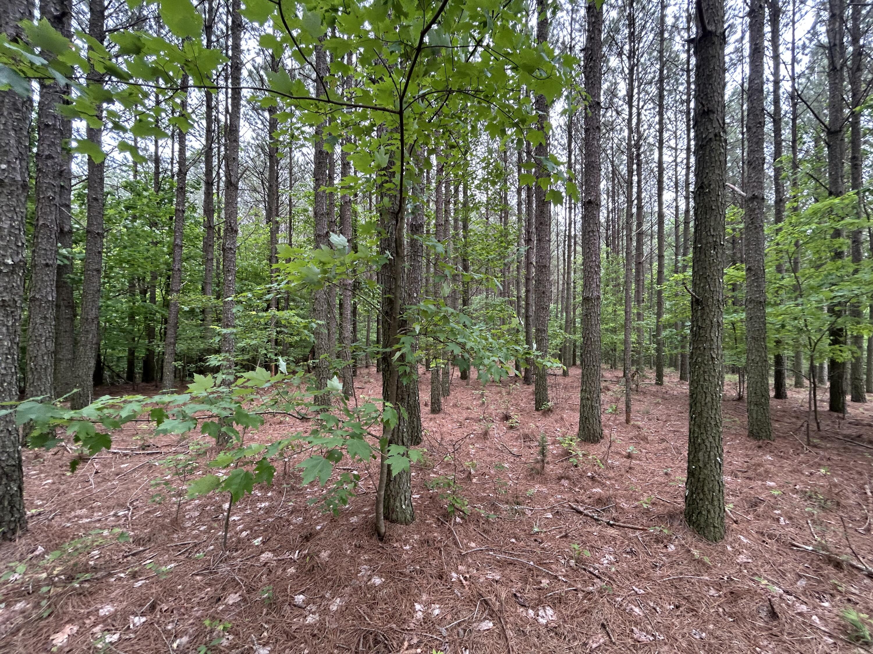 1771 Crockett Point #JF-604, Jasper, Tennessee image 10