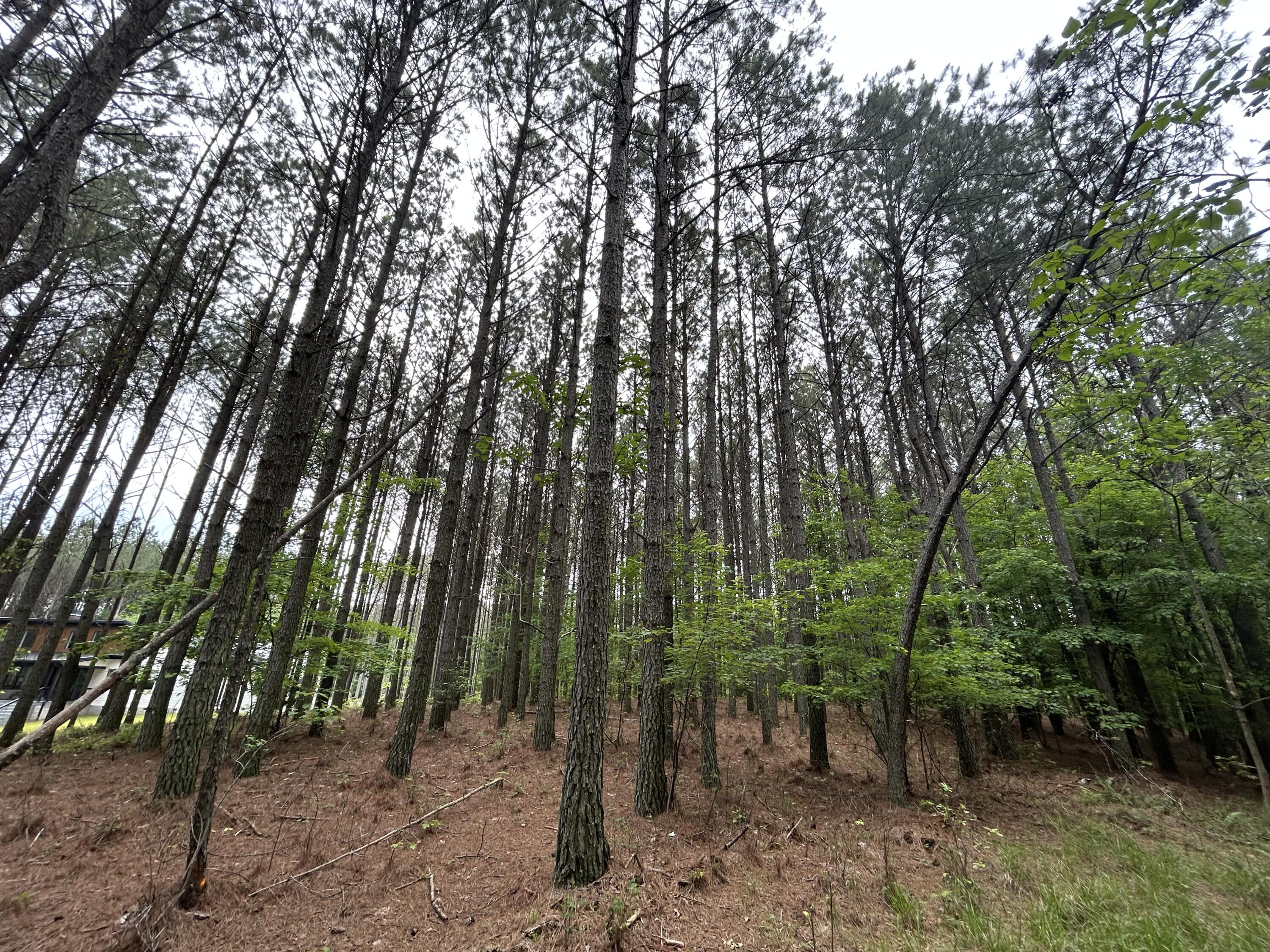 1771 Crockett Point #JF-604, Jasper, Tennessee image 17
