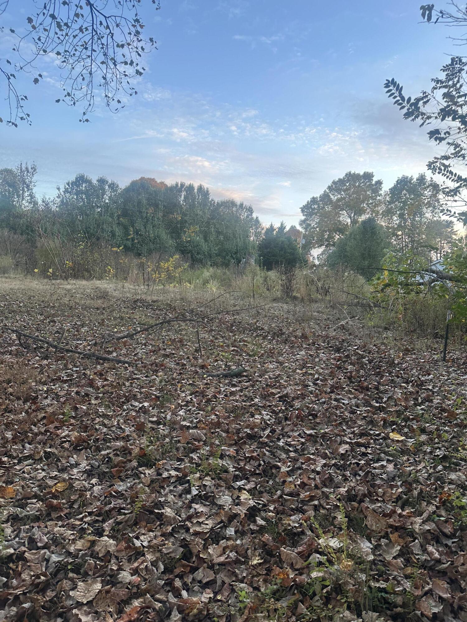 Lot 7 Lake Forest Drive, Birchwood, Tennessee image 4