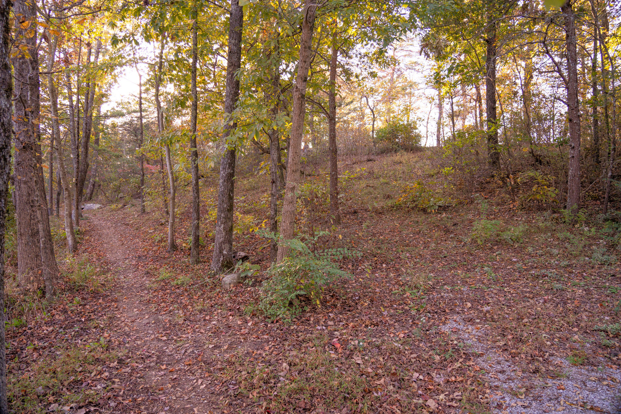 Stonesthrow Lane #LOT 5, Lookout Mountain, Georgia image 9