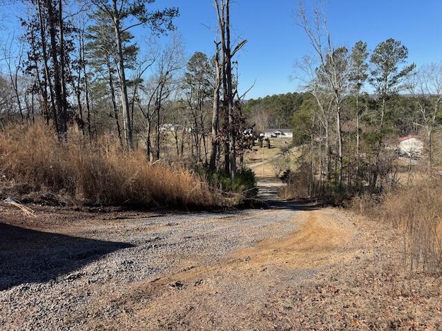 401 Old Cottonwood Mill Road, Tunnel Hill, Georgia image 22