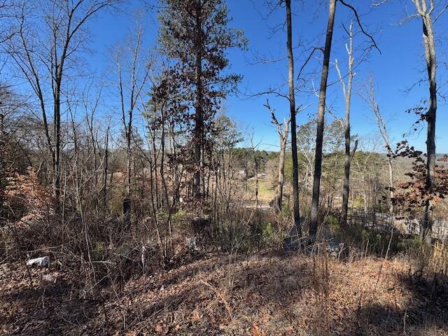 401 Old Cottonwood Mill Road, Tunnel Hill, Georgia image 21