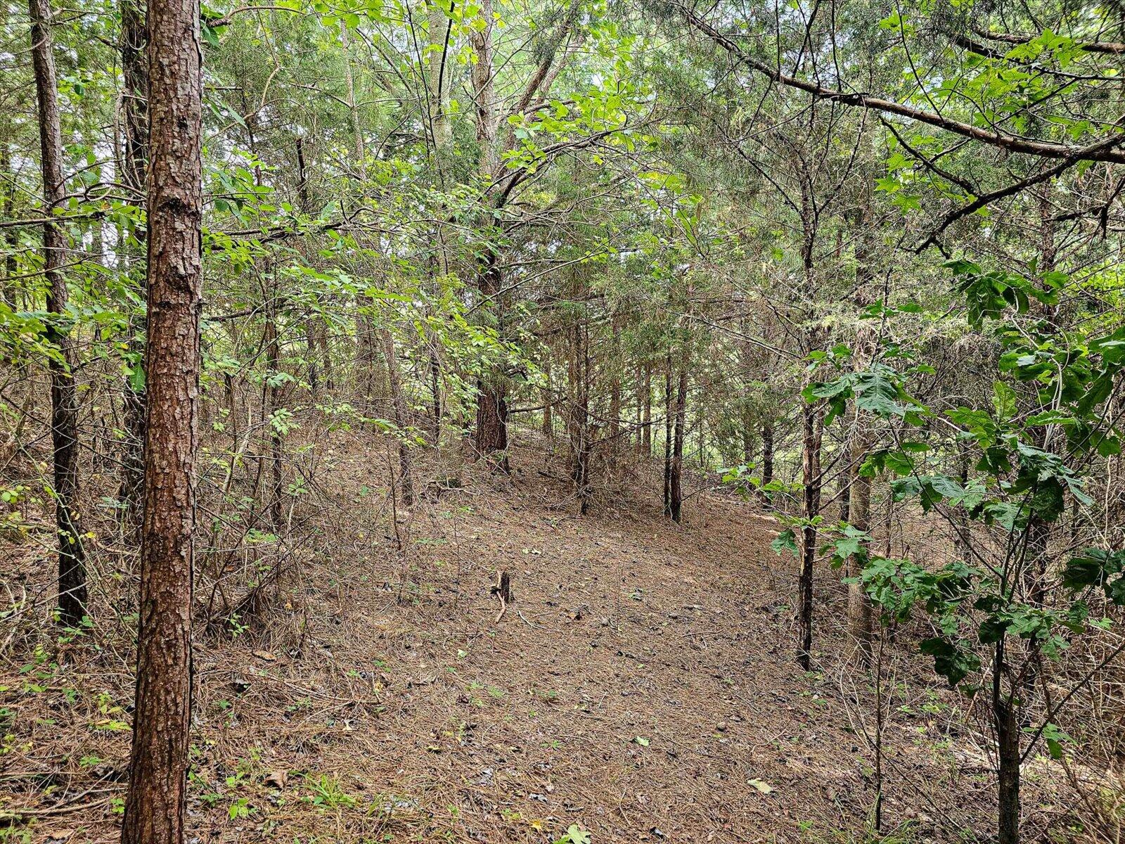 4617 Dalton Pike #LOT 12, Cleveland, Tennessee image 9