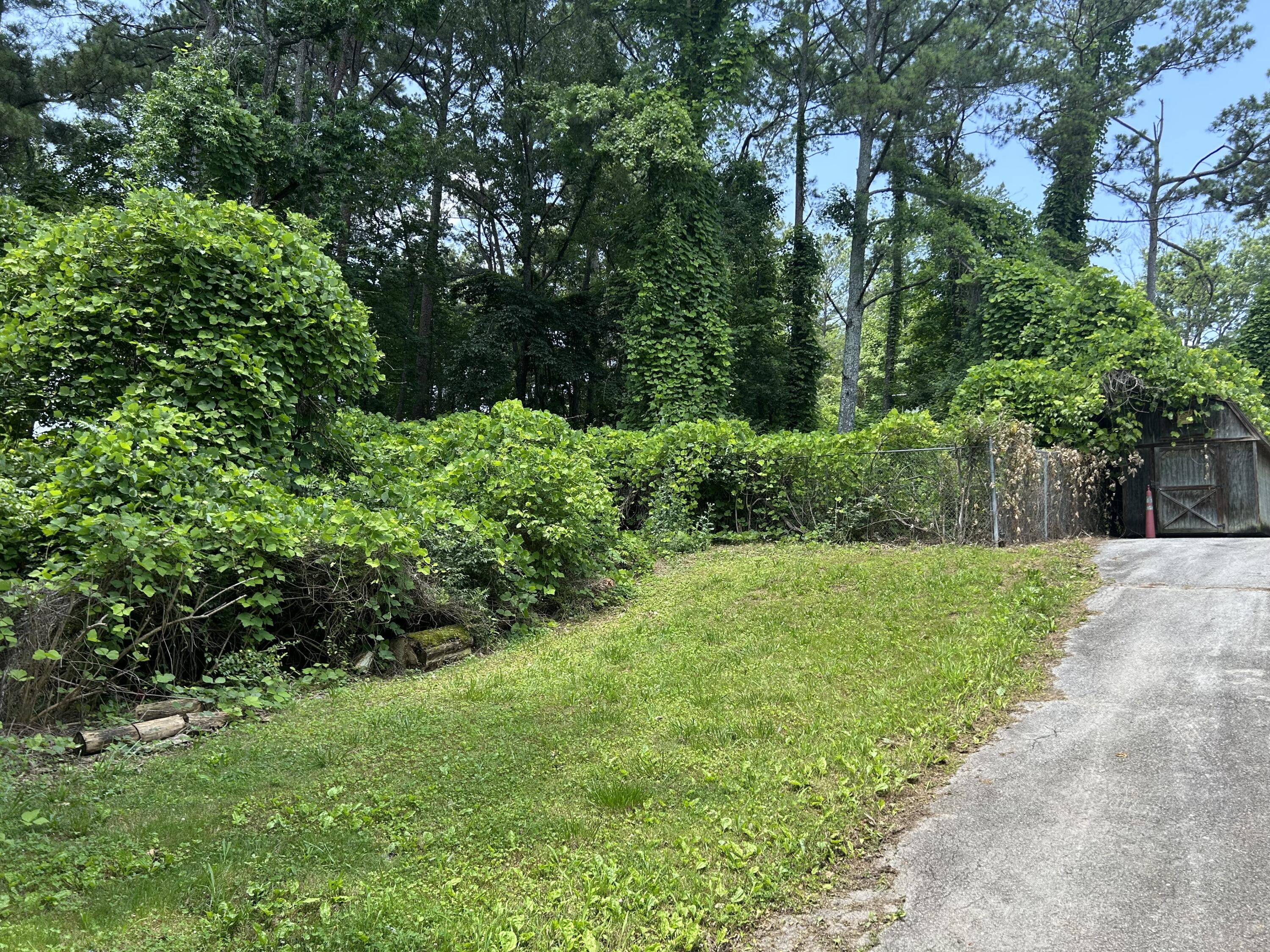 Teakwood Drive, Chattanooga, Tennessee image 1