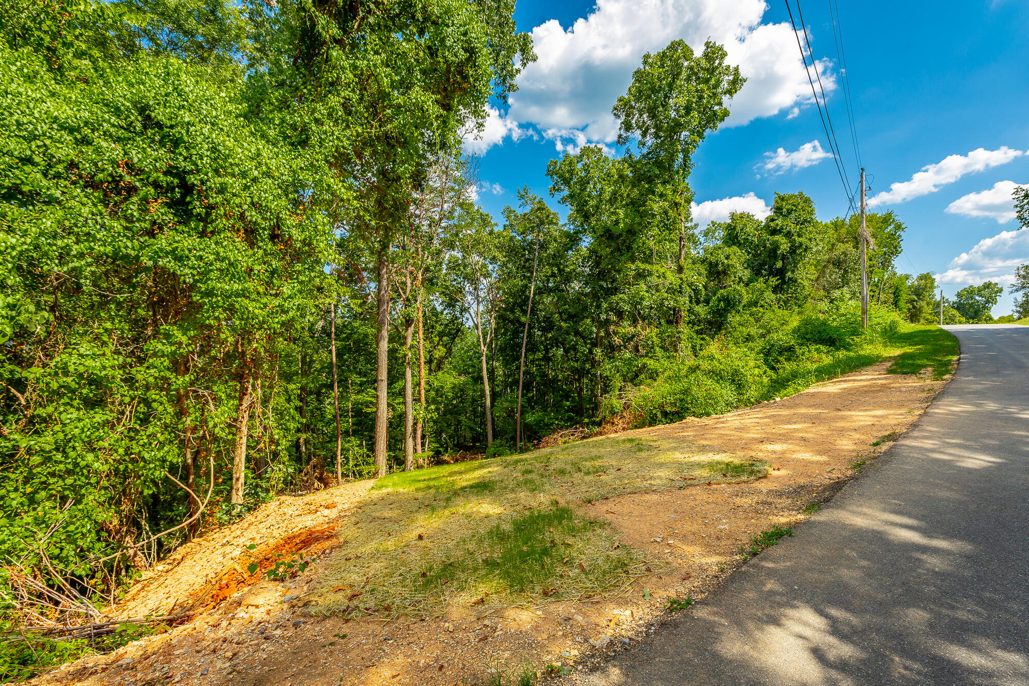 Clearview Drive #LOT 1, Ringgold, Georgia image 7