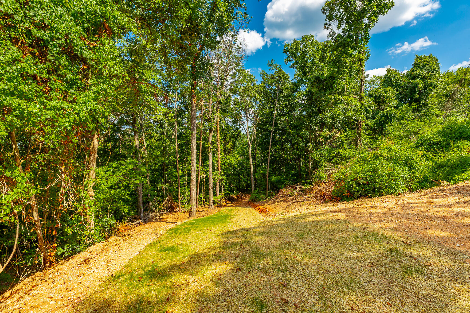 Clearview Drive #LOT 1, Ringgold, Georgia image 8