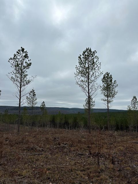 Photo of Tract 28 Thomas Springs Road, Crossville, TN 38572 (MLS # 1504998)