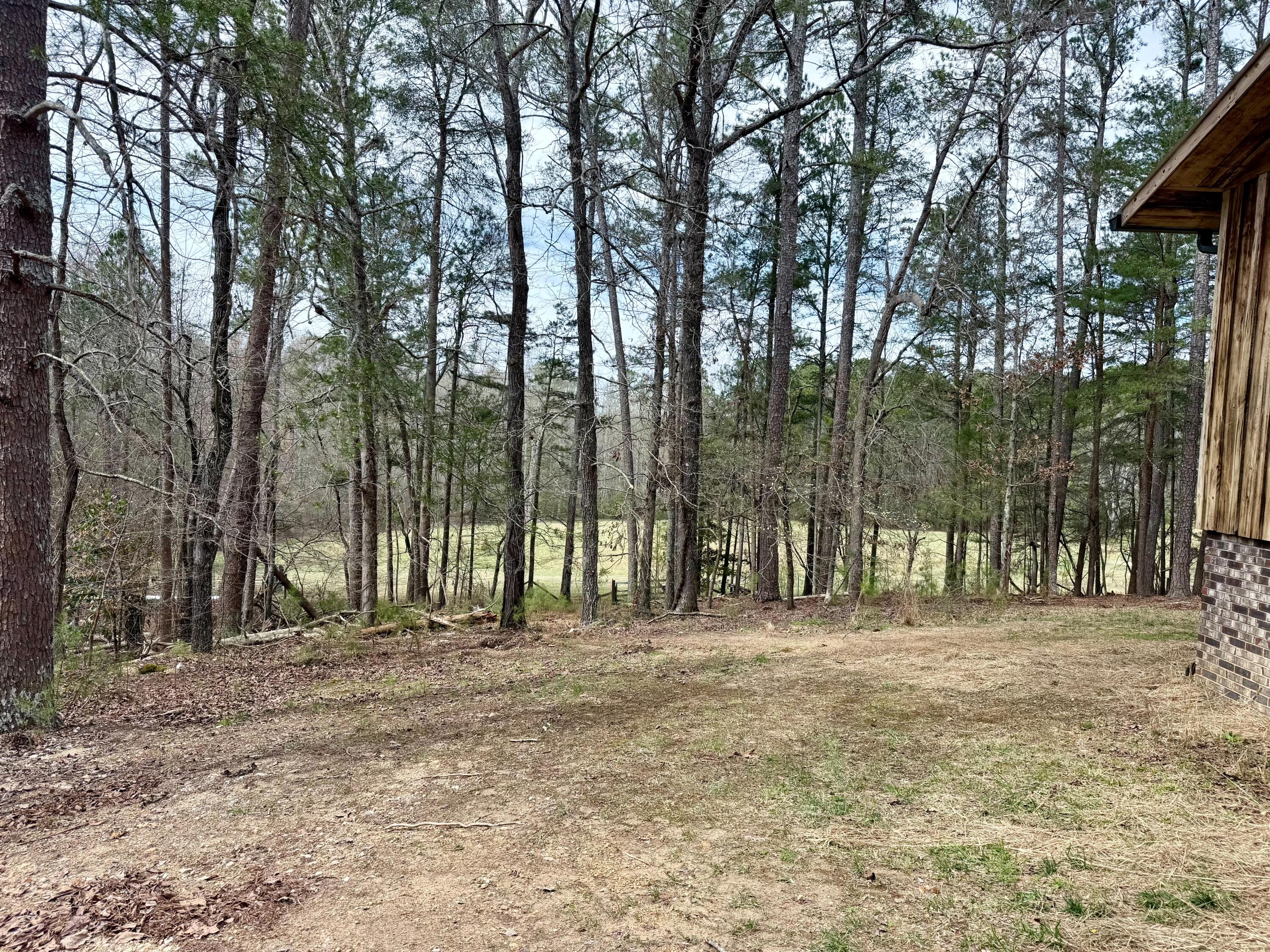475 White Oak Road, Summerville, Georgia image 25