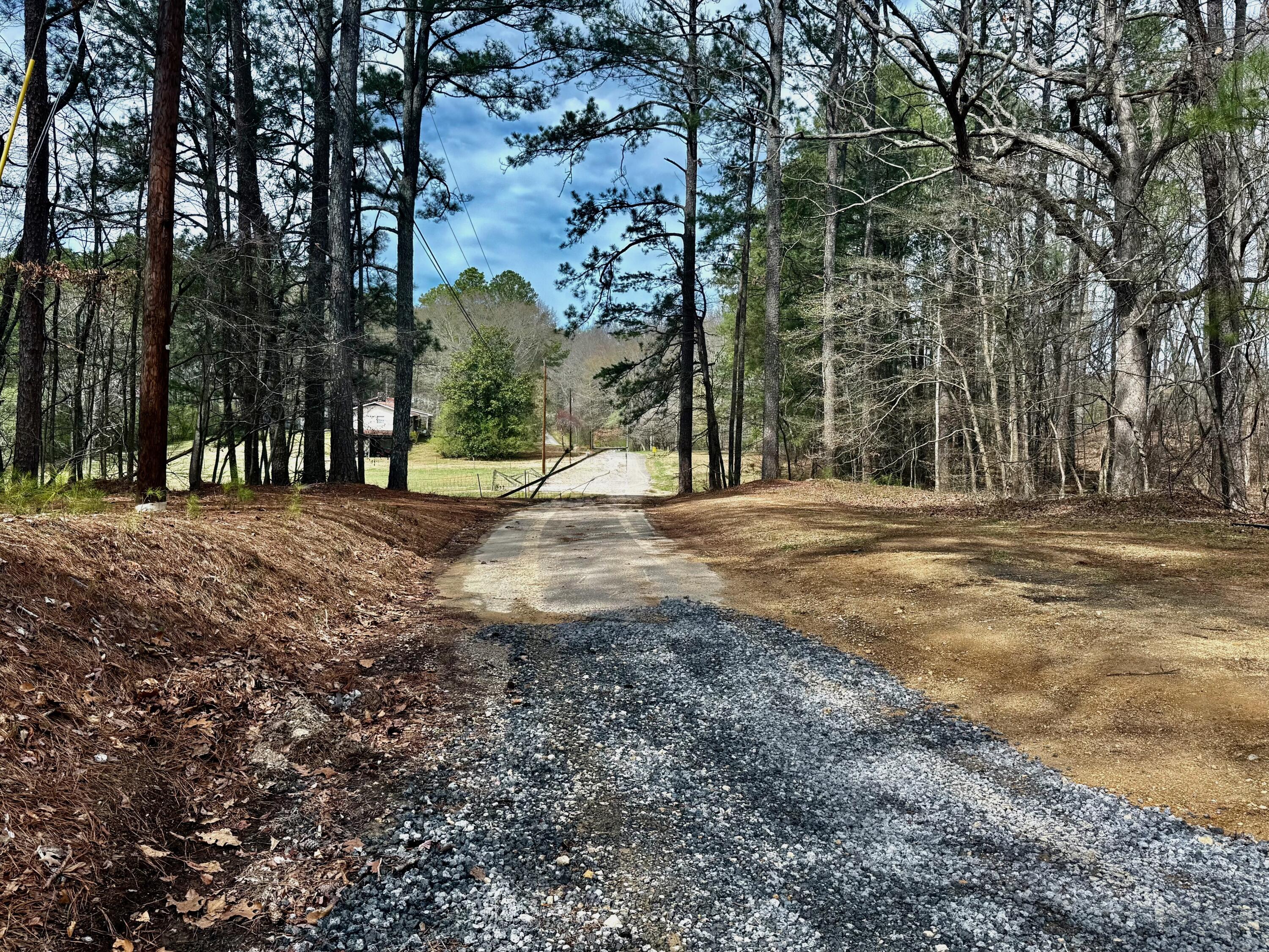 475 White Oak Road, Summerville, Georgia image 3