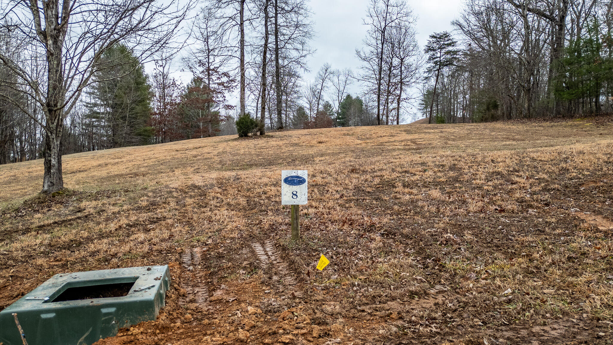 156 Smoke Rise Cove, Spring City, Tennessee image 3