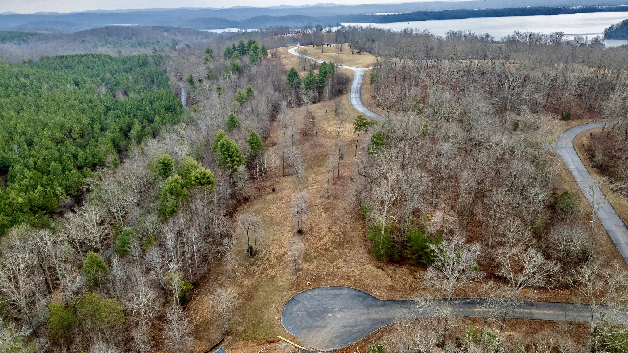 156 Smoke Rise Cove, Spring City, Tennessee image 2