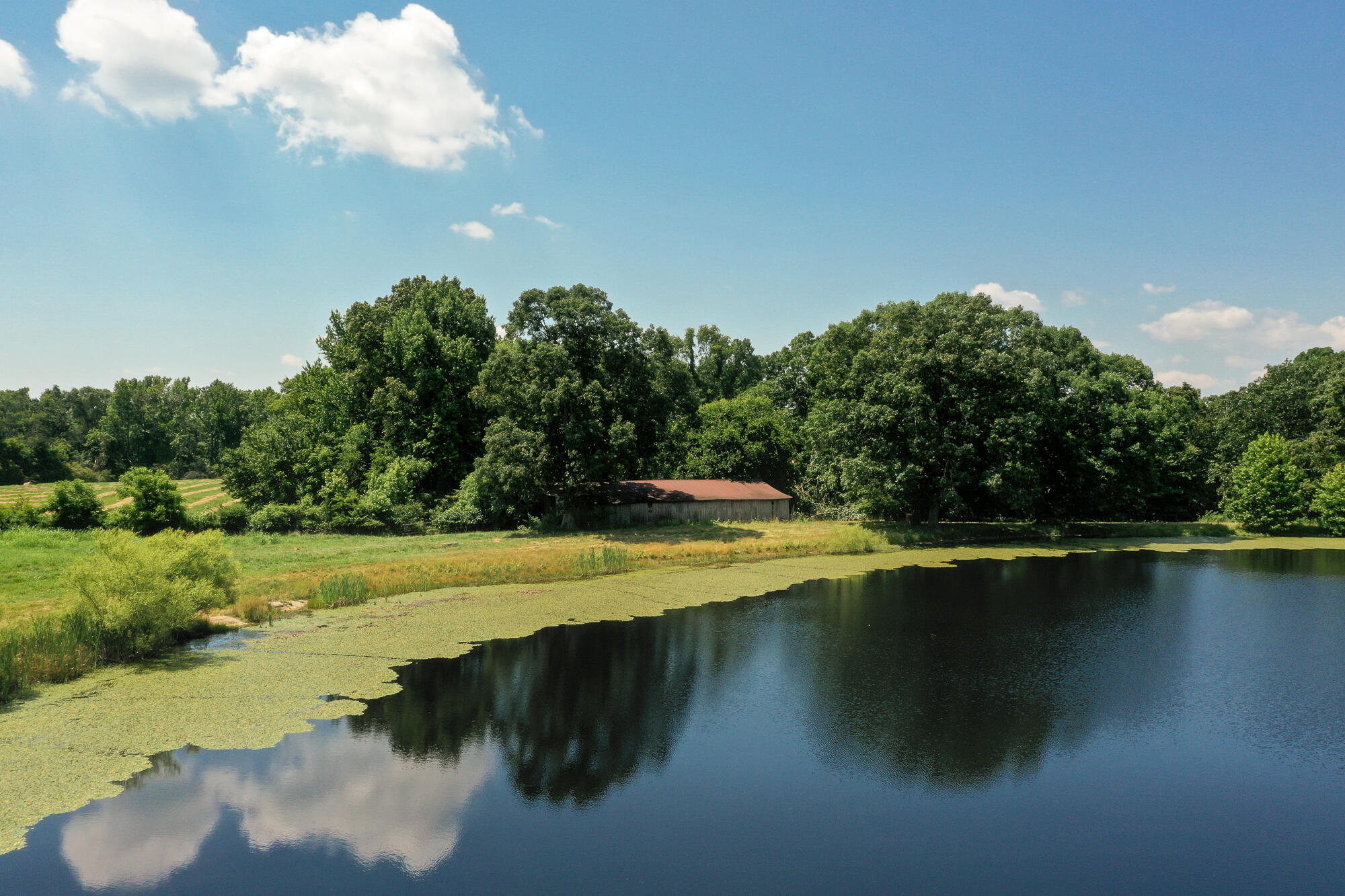 Bryant, Alabama 35958, United States, 4 Bedrooms Bedrooms, ,3 BathroomsBathrooms,Residential,Active,16739