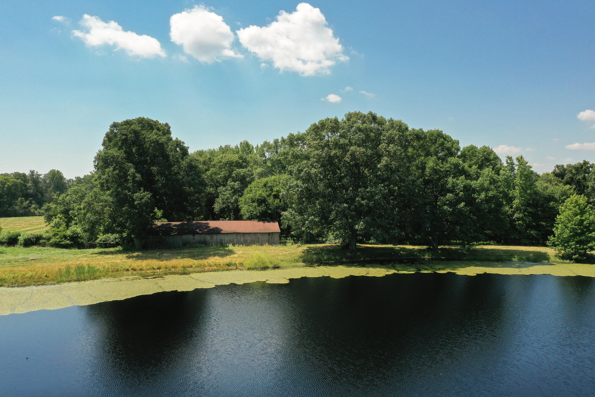 Bryant, Alabama 35958, United States, 4 Bedrooms Bedrooms, ,3 BathroomsBathrooms,Residential,Active,16739