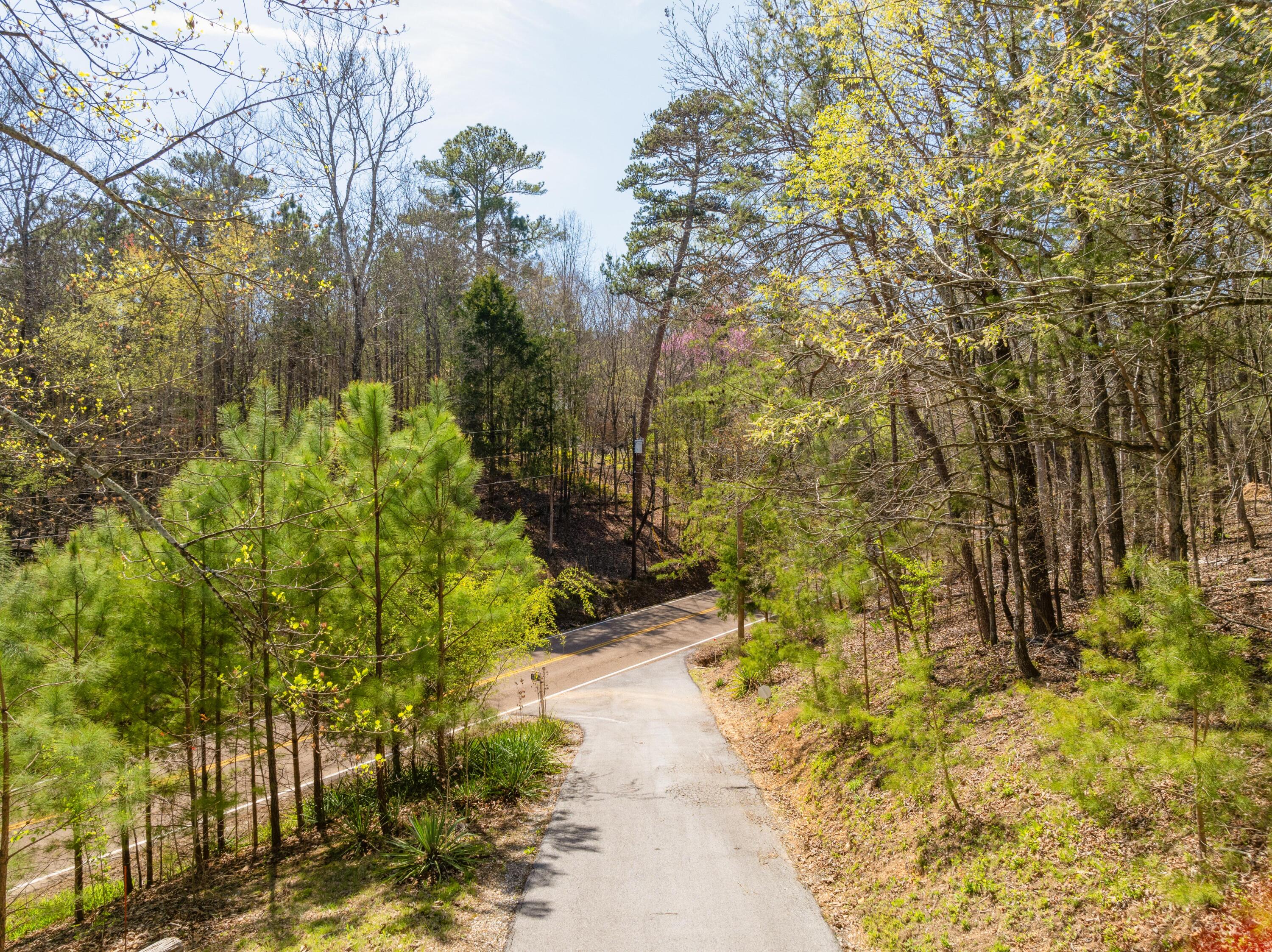7433 Greenwood Road, Harrison, Tennessee image 9