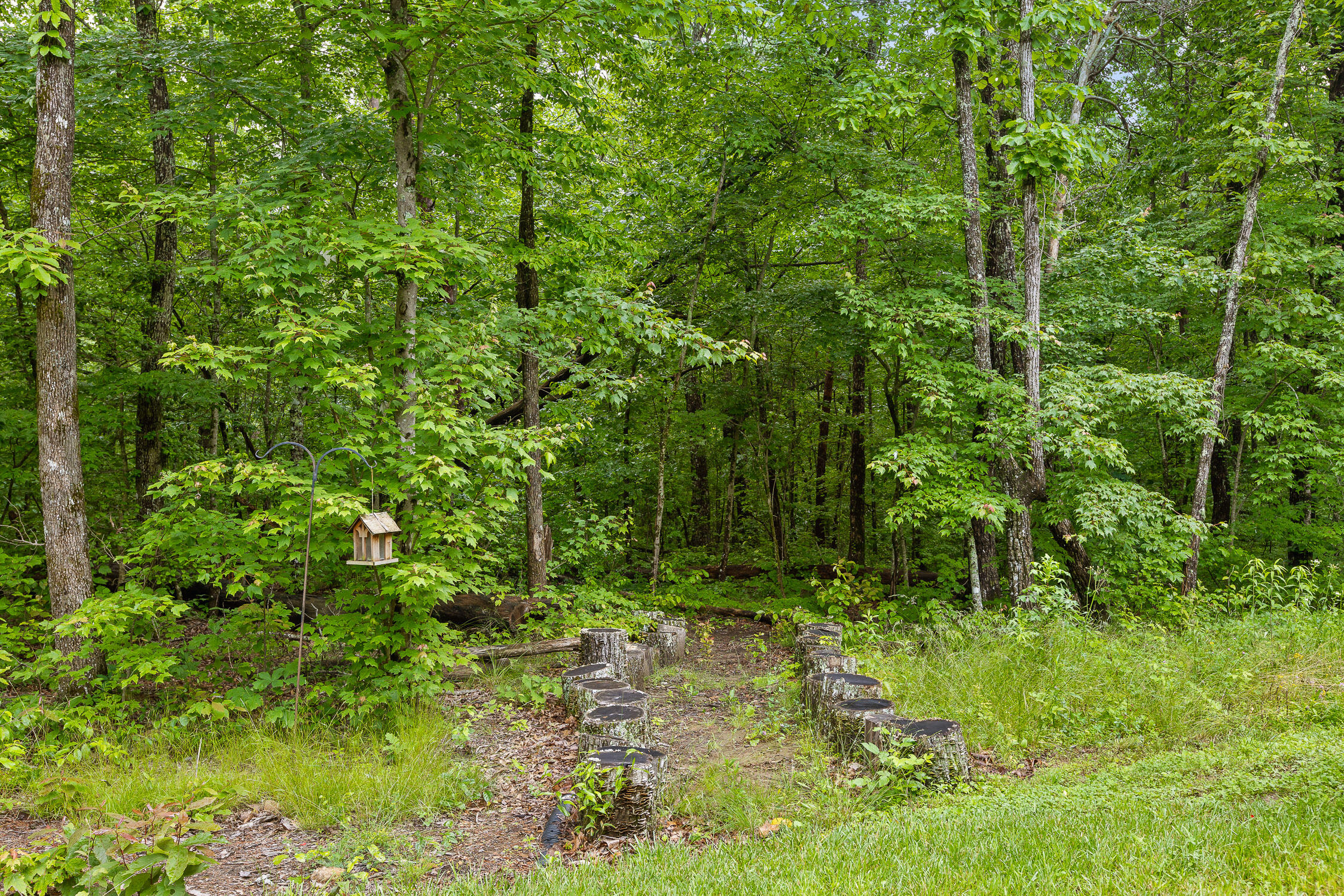 108 Wade Road, Signal Mountain, Tennessee image 46