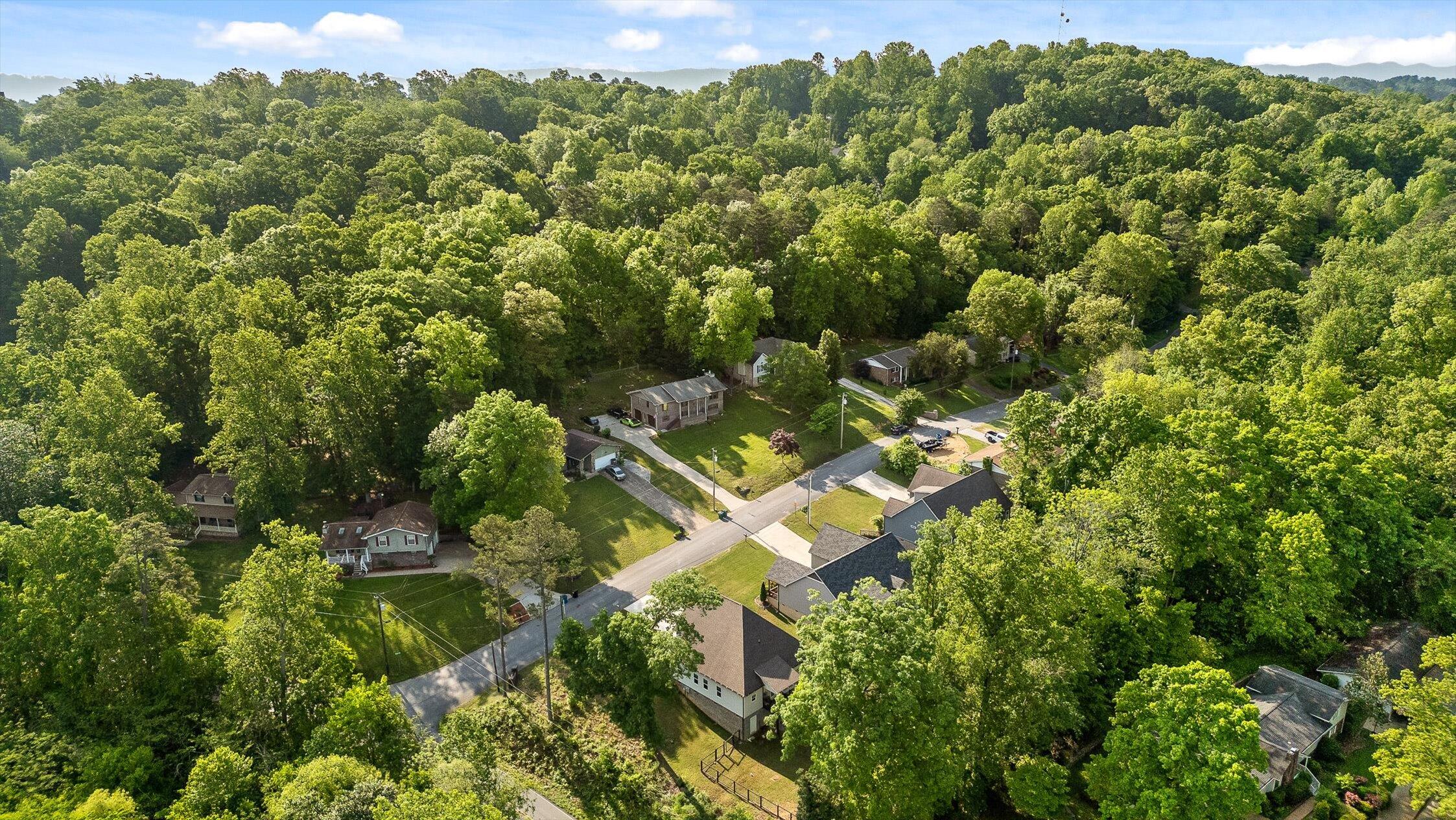 359 Maple Way, Ringgold, Georgia image 38