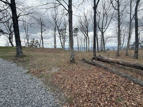 Tiny photo for Lot 17 Scenic Highway, Rising Fawn, GA 30738 (MLS # 1531139)