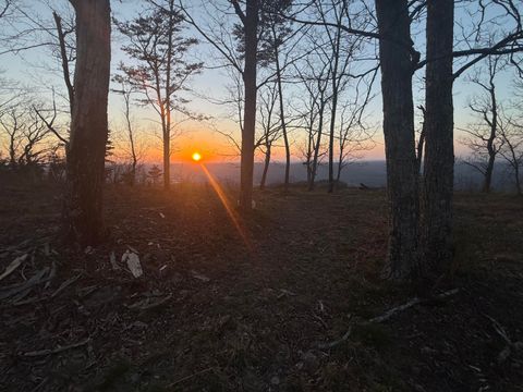 Tiny photo for Lot 17 Scenic Highway, Rising Fawn, GA 30738 (MLS # 1531139)