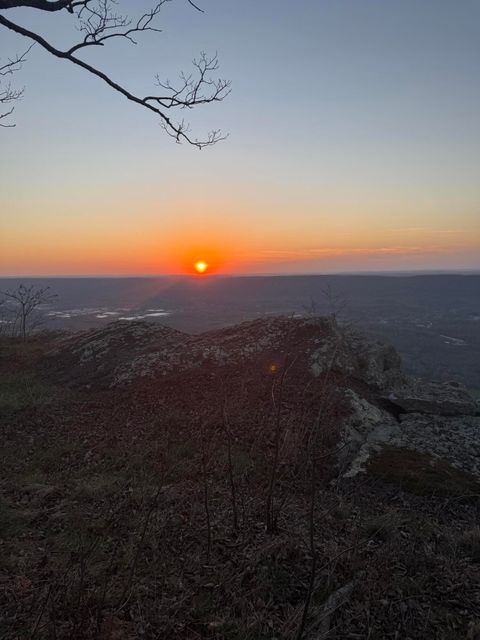 Tiny photo for Lot 17 Scenic Highway, Rising Fawn, GA 30738 (MLS # 1531139)