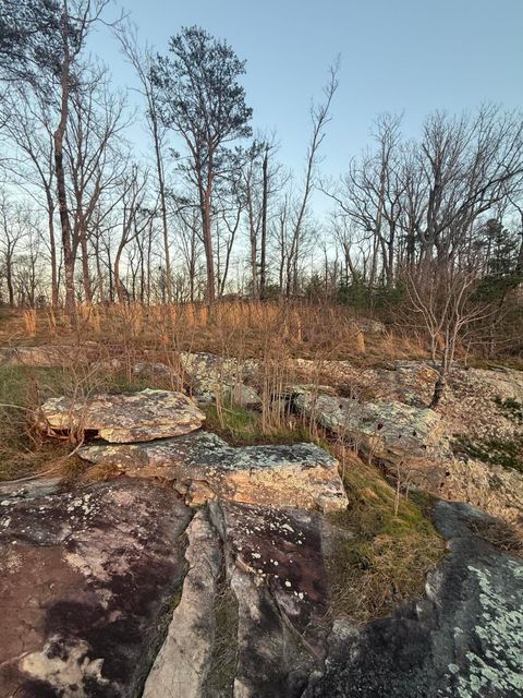 Tiny photo for Lot 17 Scenic Highway, Rising Fawn, GA 30738 (MLS # 1531139)