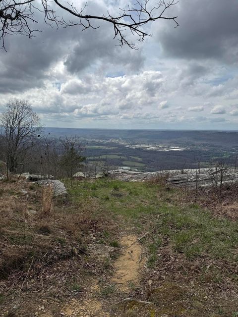 Tiny photo for Lot 17 Scenic Highway, Rising Fawn, GA 30738 (MLS # 1531139)