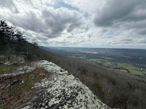 Tiny photo for Lot 17 Scenic Highway, Rising Fawn, GA 30738 (MLS # 1531139)