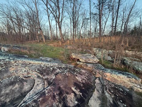 Tiny photo for Lot 17 Scenic Highway, Rising Fawn, GA 30738 (MLS # 1531139)