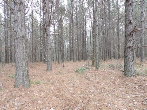Photo of Lot 19 Summercity Road, Evensville, TN 37332 (MLS # 1524209)