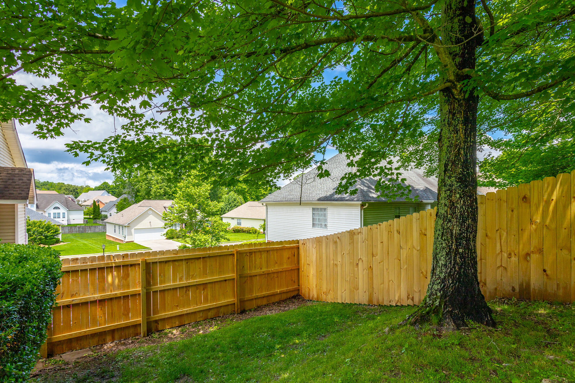 8424 Shadetree Lane, Ooltewah, Tennessee image 17