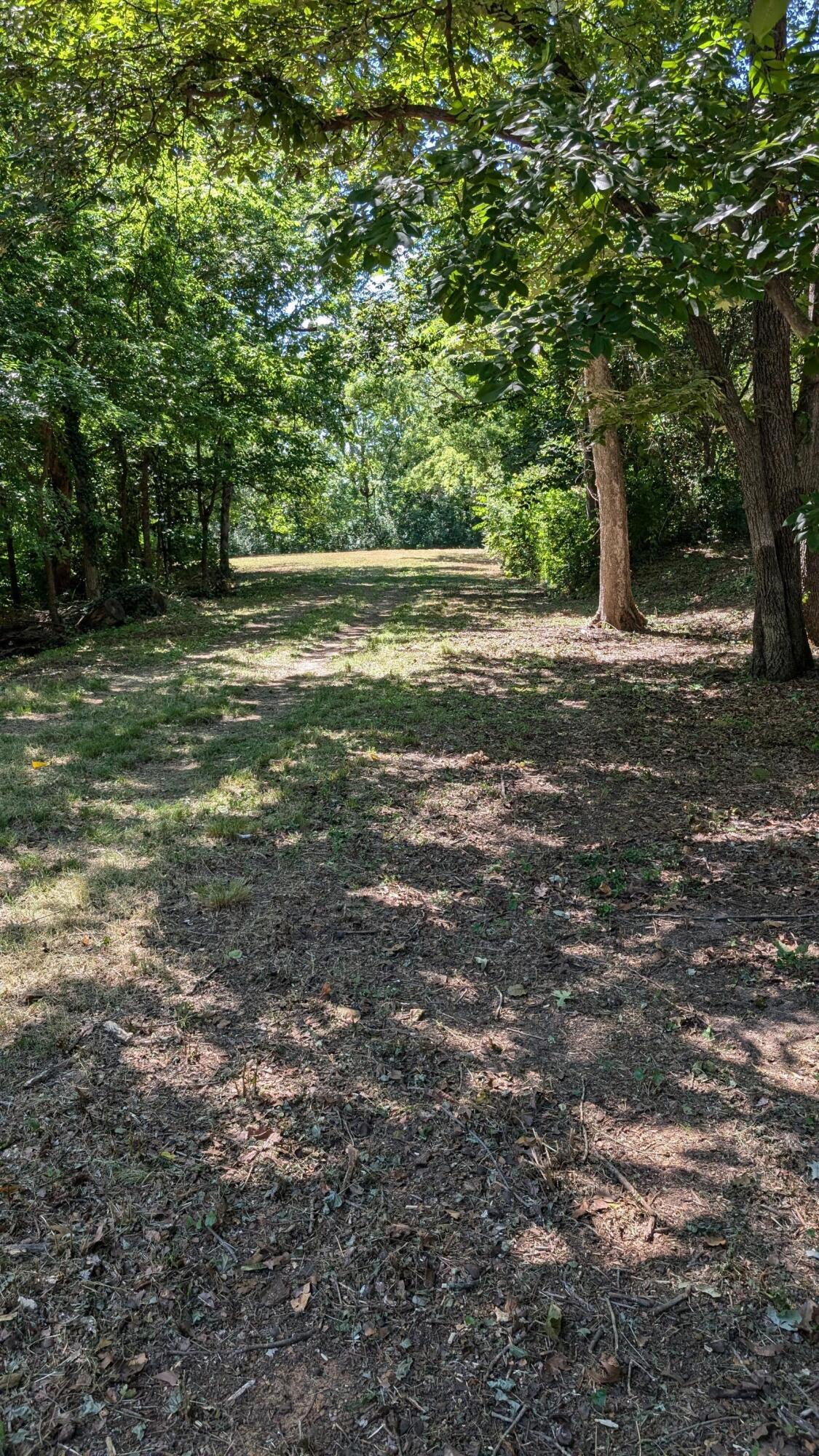 1121 Panorama Drive, Chattanooga, Tennessee image 5