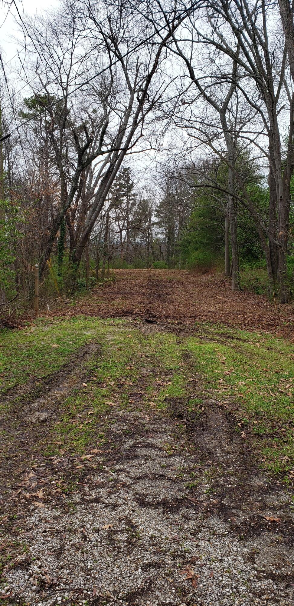 1121 Panorama Drive, Chattanooga, Tennessee image 4