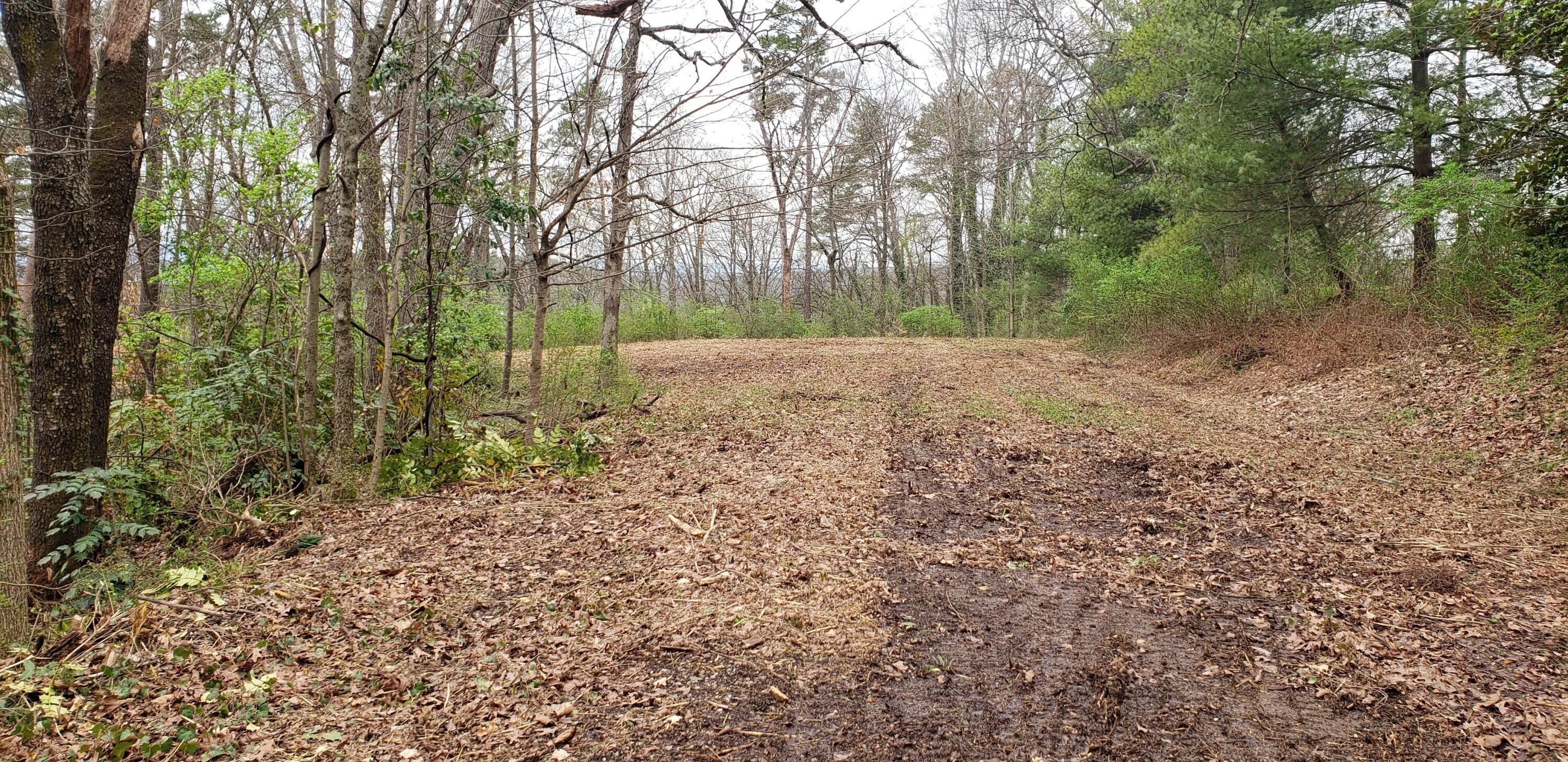 1121 Panorama Drive, Chattanooga, Tennessee image 3