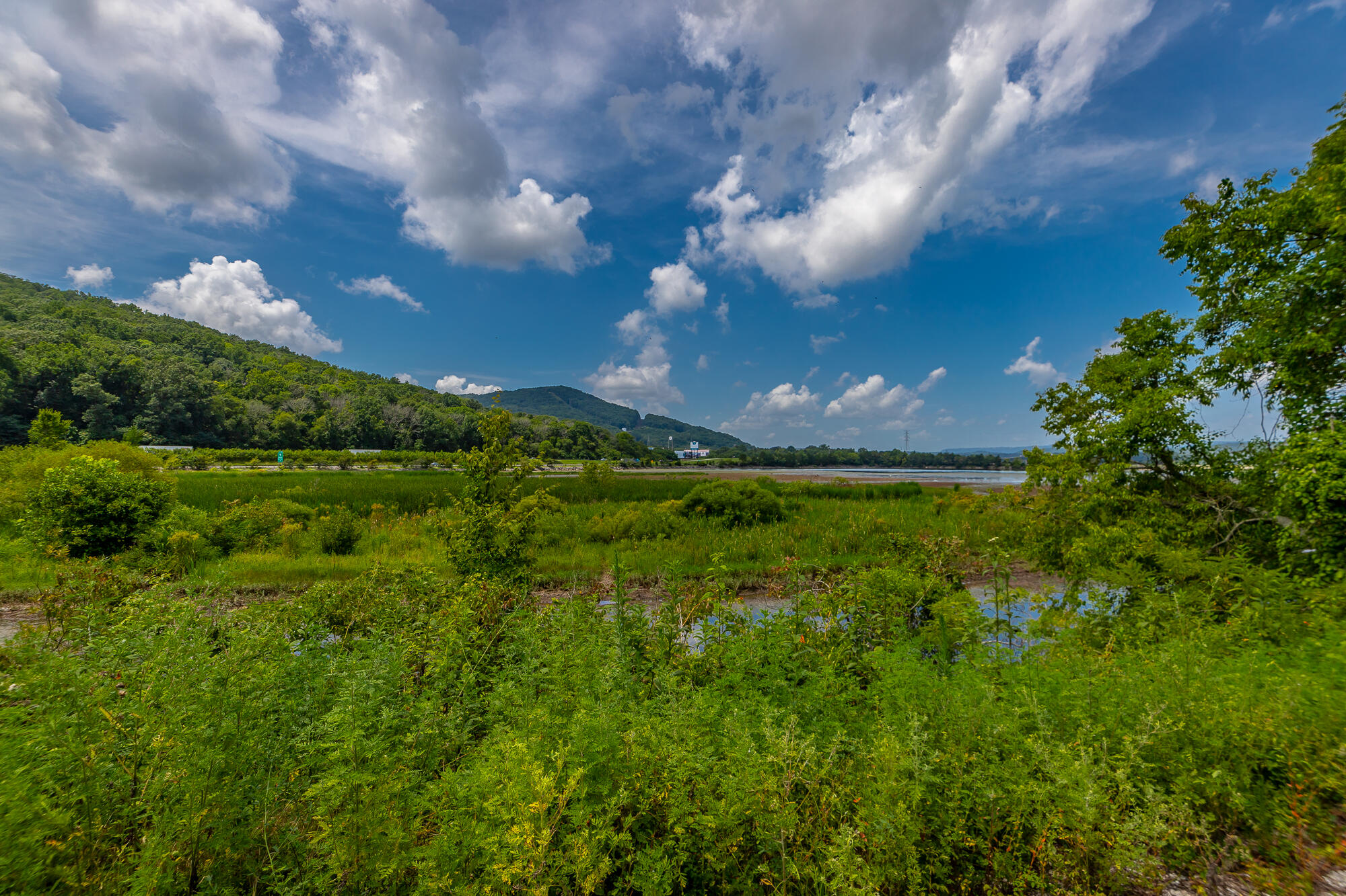 Highway 134, Guild, Tennessee image 29