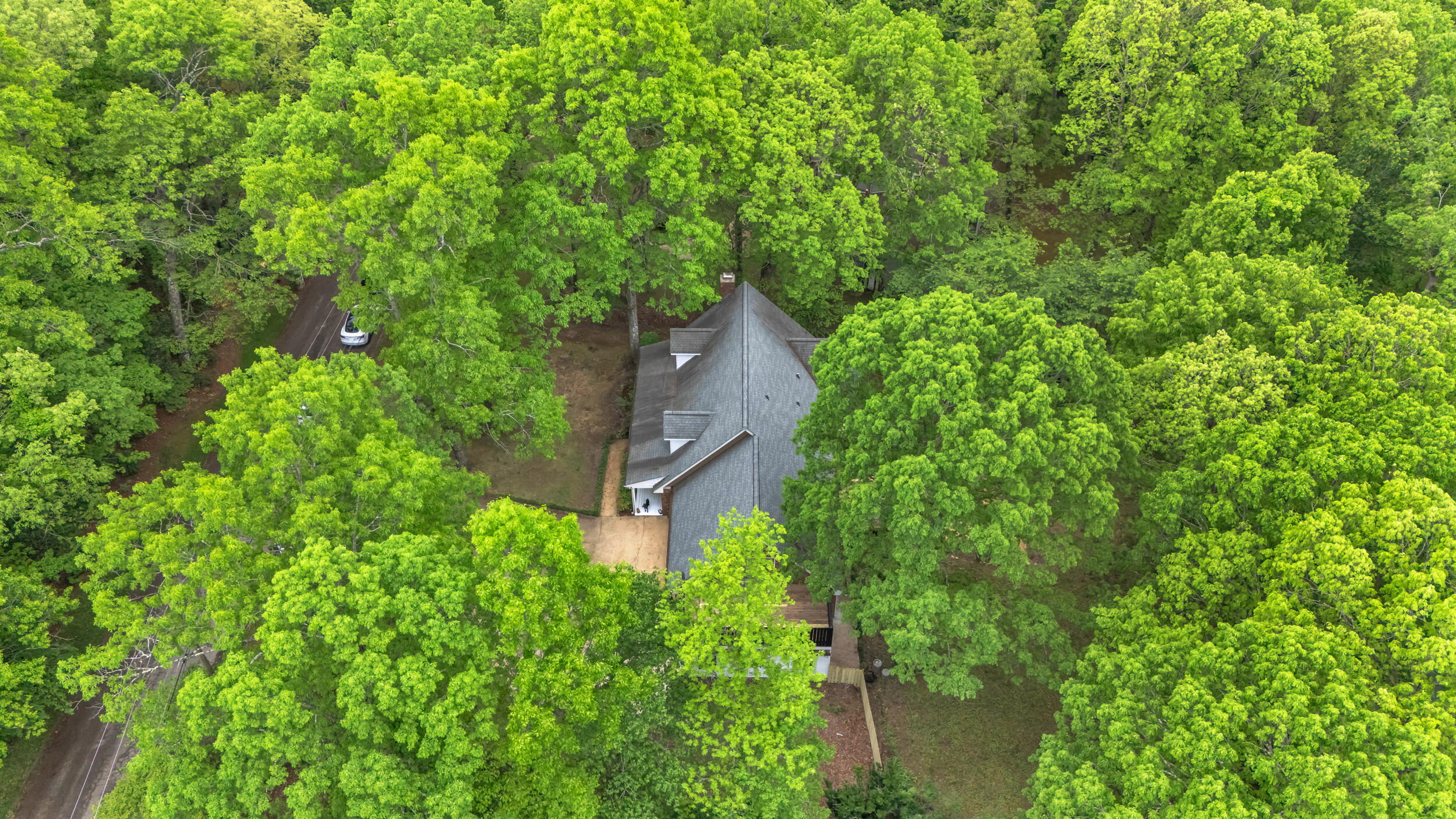 1807 Angel Lane, Signal Mountain, Tennessee image 44