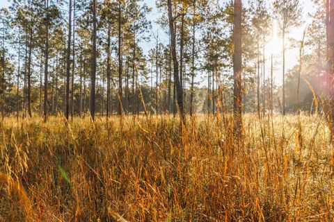 Tiny photo for 9700 Old Magnolia Road, Tallahassee, FL 32309 (MLS # 1526760)