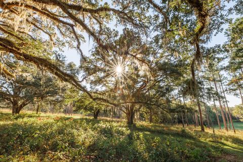 Tiny photo for 9700 Old Magnolia Road, Tallahassee, FL 32309 (MLS # 1526760)