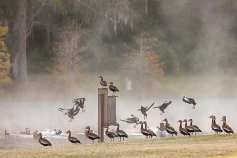 Tiny photo for 9700 Old Magnolia Road, Tallahassee, FL 32309 (MLS # 1526760)