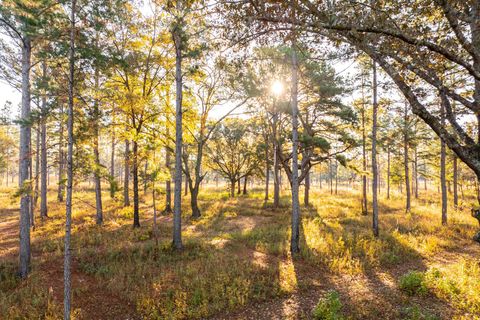 Tiny photo for 9700 Old Magnolia Road, Tallahassee, FL 32309 (MLS # 1526760)