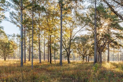 Tiny photo for 9700 Old Magnolia Road, Tallahassee, FL 32309 (MLS # 1526760)