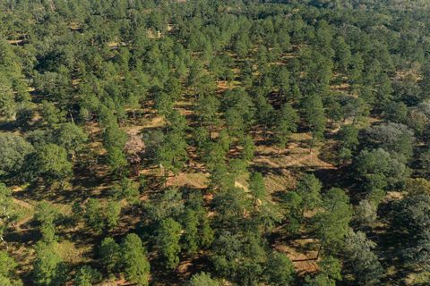 Tiny photo for 9700 Old Magnolia Road, Tallahassee, FL 32309 (MLS # 1526760)