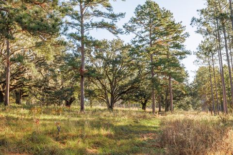 Tiny photo for 9700 Old Magnolia Road, Tallahassee, FL 32309 (MLS # 1526760)
